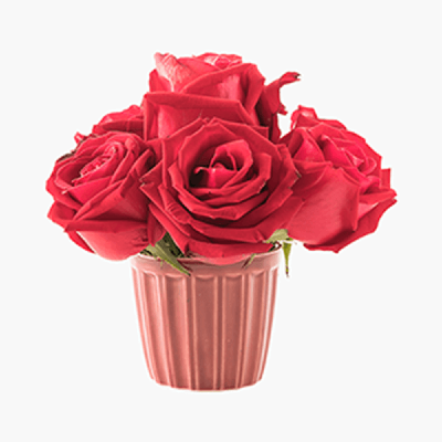 Buket Tulip Campuran